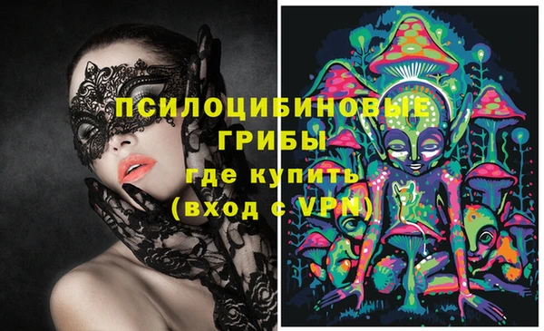 шишки Новокубанск