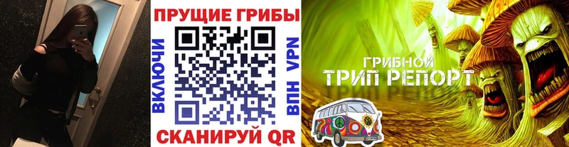 наркотики  Пласт  Псилоцибиновые грибы Psilocybe 